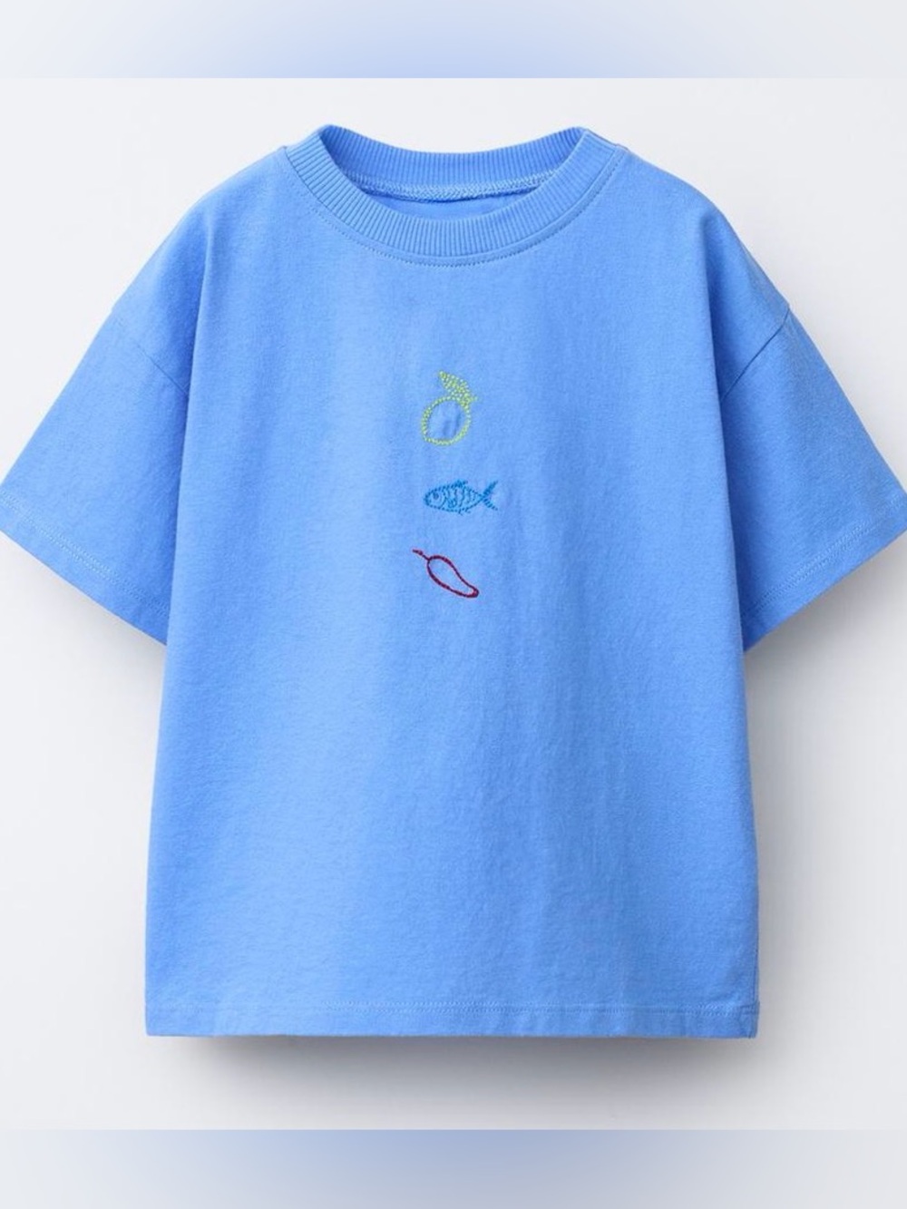 Zara boys t-shirt